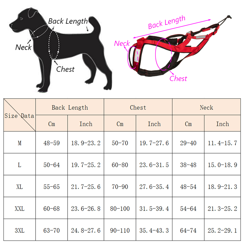 High Quality Big Dog Sledge Ha - Reflective Running Jacket review and price