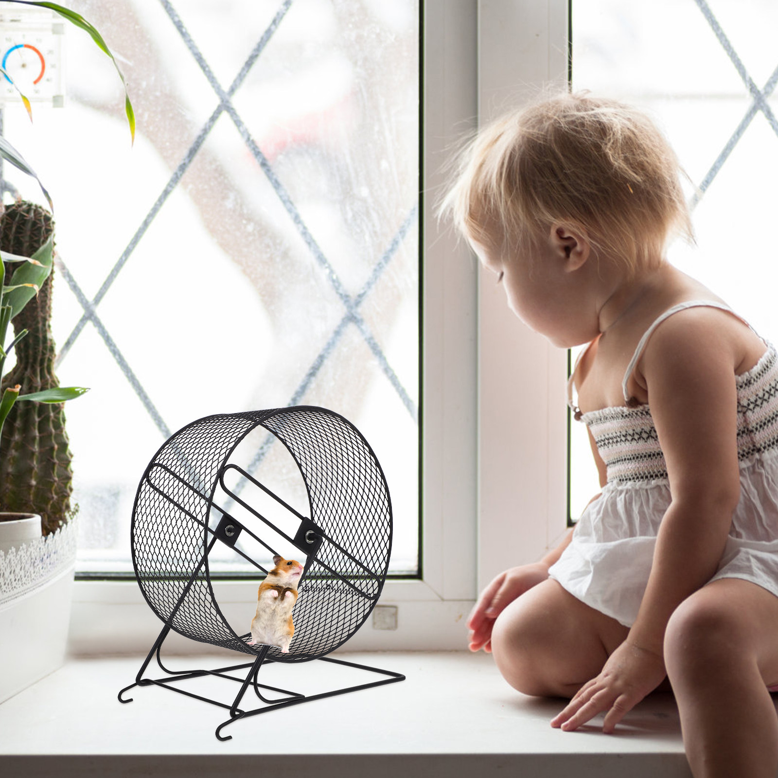 Iron Hamster Running Wheel Sil - Running Gear Usa review and price