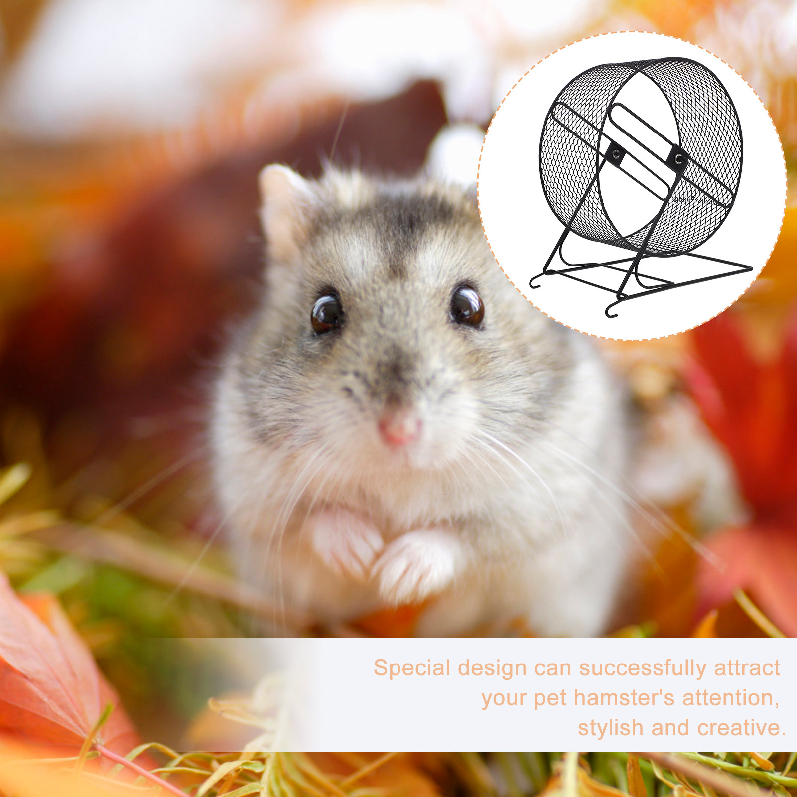 Iron Hamster Running Wheel Sil - Running Gear Usa review and price